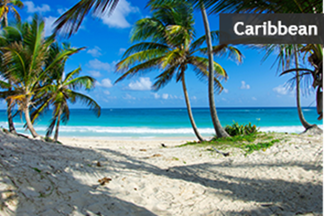 Caribbean Beach And White Sands